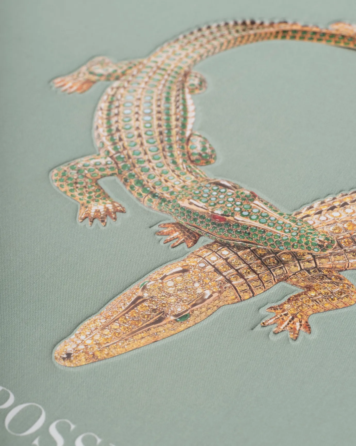 Assouline De Onmogelijke Sieradencollectie New