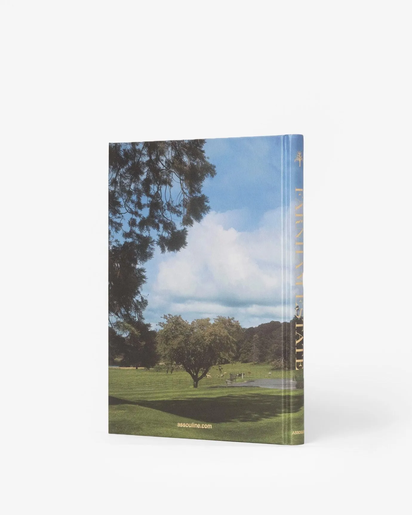 Assouline Farnham Estate: Binnen Het Historische Ierse Landgoed Hot