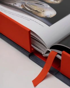 Assouline Koyasan: Senju'S Kunstwerken 1200 Jaar Na Kukai Online