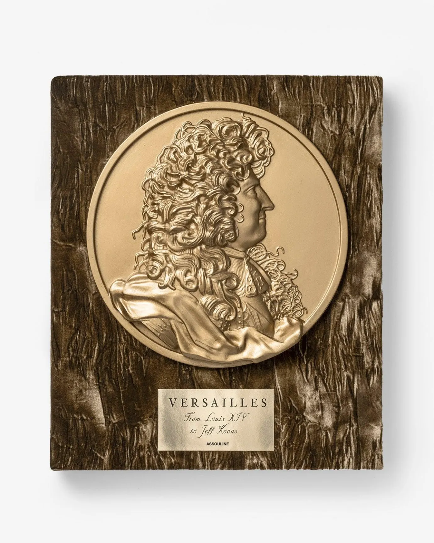 Assouline Versailles: Van Lodewijk Xiv Tot Jeff Koons (Speciale Editie) Outlet