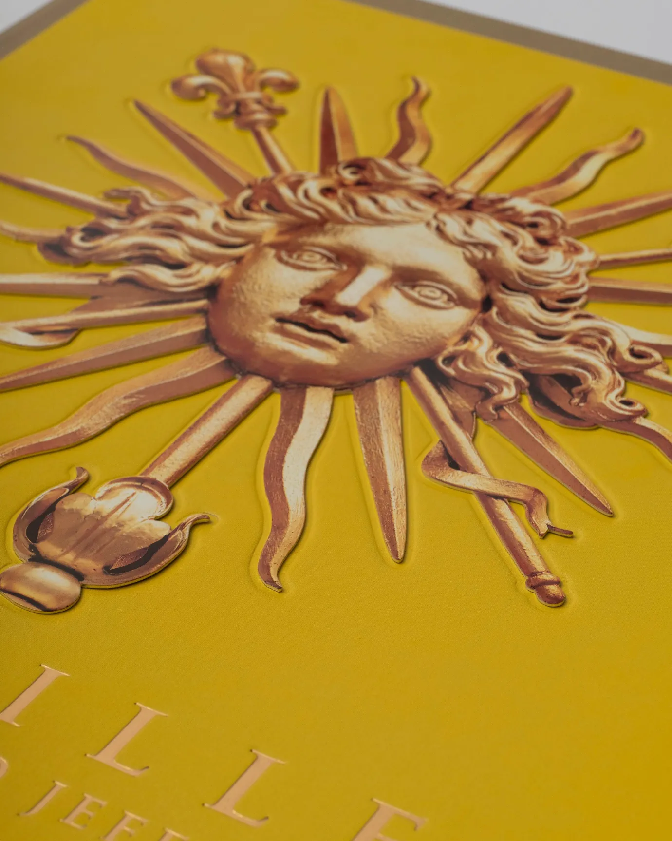 Assouline Versailles: Van Lodewijk Xiv Tot Jeff Koons (Speciale Editie) Outlet